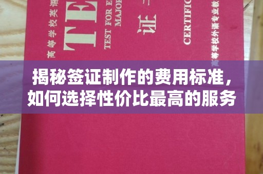 滴道揭秘签证制作的费用标准，如何选择性价比最高的服务？