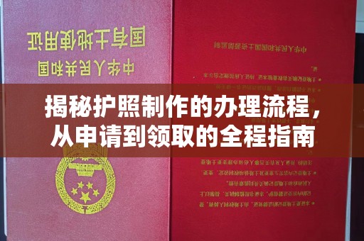 滴道揭秘护照制作的办理流程，从申请到领取的全程指南