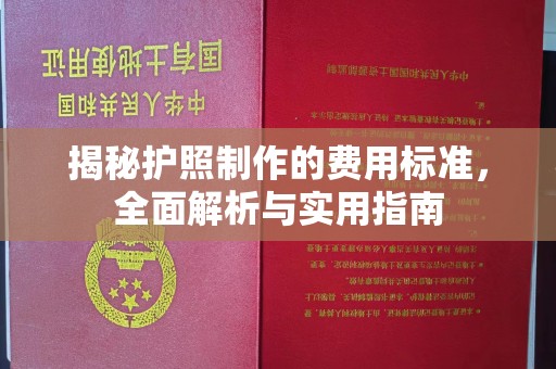 滴道揭秘护照制作的费用标准，全面解析与实用指南