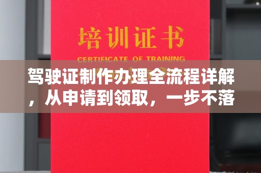 滴道驾驶证制作办理全流程详解，从申请到领取，一步不落
